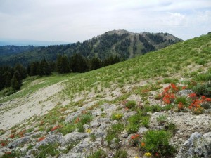 Shafer Butte, Idaho. National Forest Service photo.